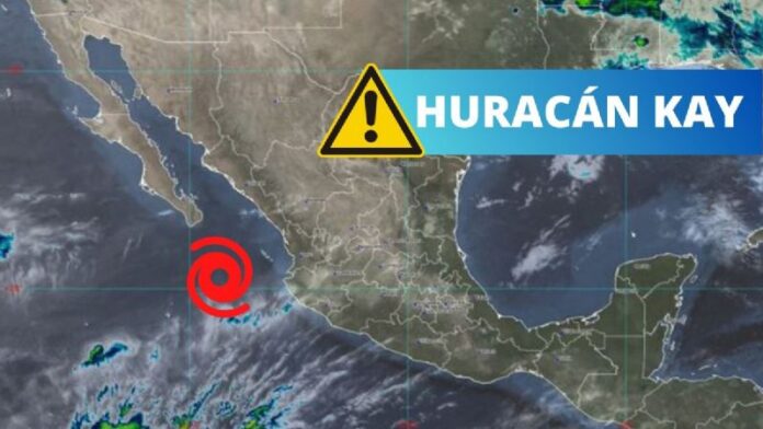 f800x450-50714_102160_5050