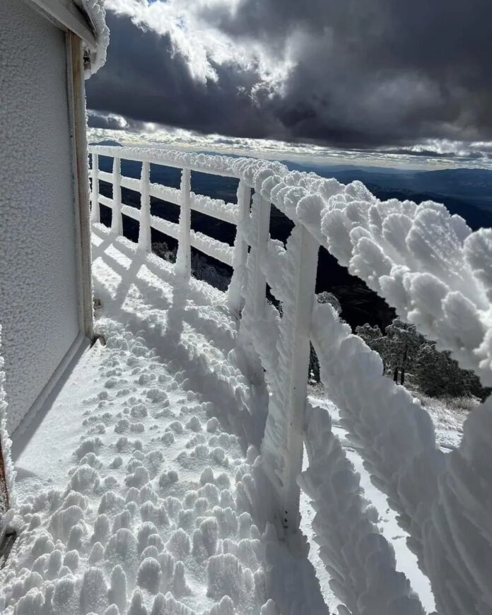 319244910_1379325032838652_168268132993659603_n (1)