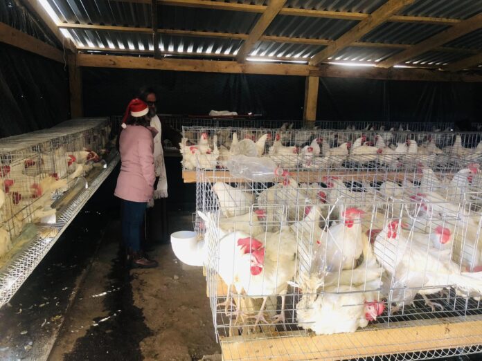 320365321_709967587140899_6351706135260469115_n